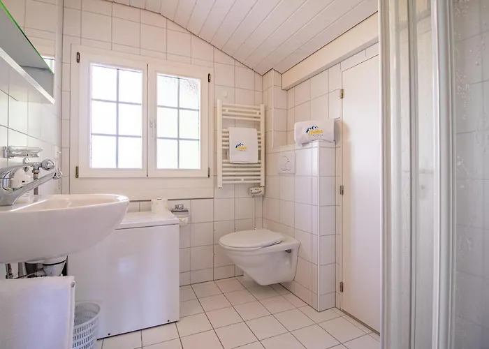 Soldanella By 阿罗萨