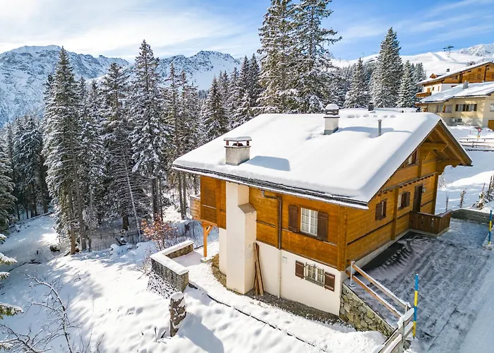 Soldanella By 木屋 *